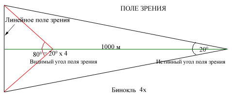 Поле зору