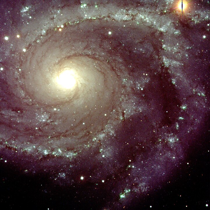 Спіральна галактика NGC 2997 із сузір’я Насос Спіральна галактика NGC 2997 із сузір’я Насос