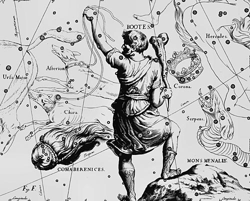 сузір’я Волопас Сузір’я Волопас з Атласу Uranographia Яна Гевелія (1690)