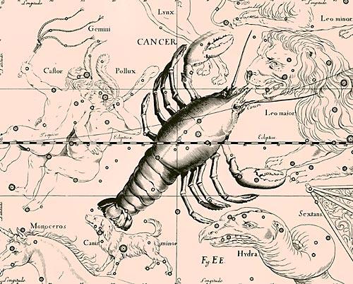 сузір’я Рака Сузір’я Рак з Атласу Uranographia Яна Гевелія (1690)