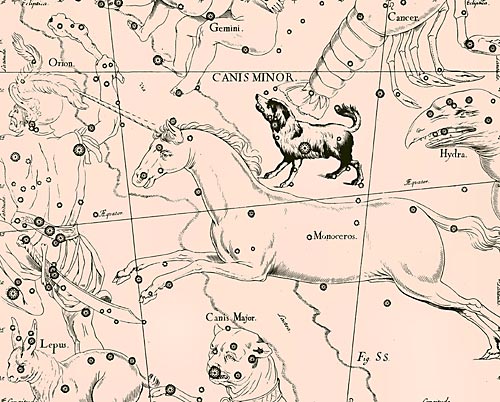 Сузір’я Малого Пса Сузір’я Малого Пса з Атласу Uranographia Яна Гевелія (1690)