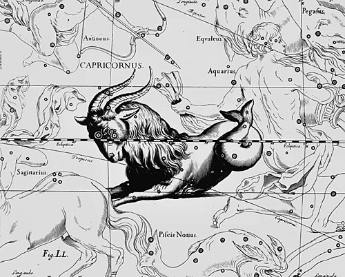 сузір’я Козоріг Сузір’я Козоріг з Атласу Uranographia Яна Гевелія (1690)