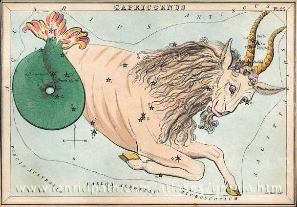 Козоріг Сузір’я Козоріг з Атласу "Urania’s Mirror" (London, 1825)