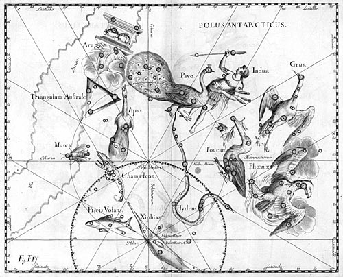 Фенікс Сузір’я Фенікс з Атласу Uranographia Яна Гевелія (1690)