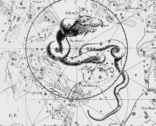 сузір’я Дракон Сузір’я Дракон з Атласу Uranographia Яна Гевелія (1690)