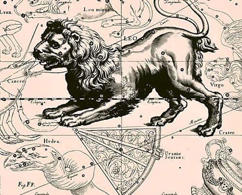 созвездие Льва Созвездие Лев из Атласа Uranographia Яна Гевелия (1690)