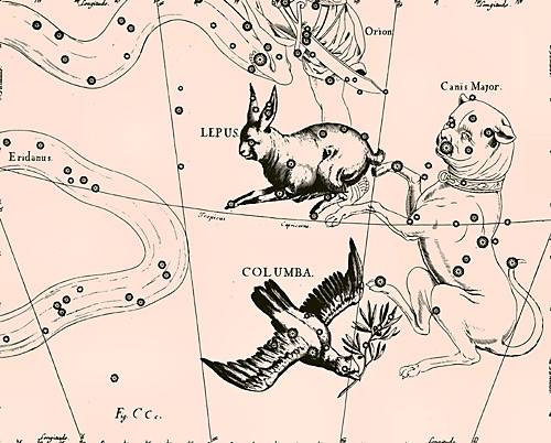 сузір’я Голуб Сузір’я Голуб з Атласу Uranographia Яна Гевелія (1690)