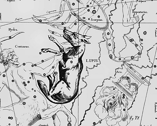сузір’я Вовка Сузір’я Вовка з Атласу Uranographia Яна Гевелія (1690)
