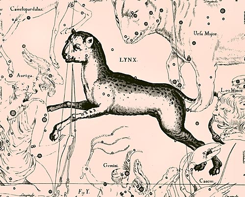 сузір’я Рись Сузір’я Рись з Атласу Uranographia Яна Гевелія (1690)