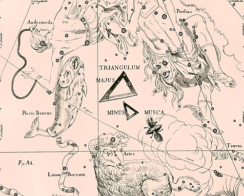 Сузір’я Північної Мухи Сузір’я Північної Мухи з Атласу Uranographia Яна Гевелія (1690)