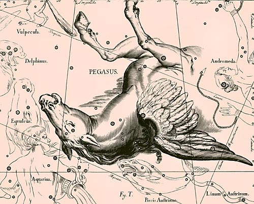 Сузір’я Пегас з Атласу Uranographia Яна Гевелія (1690)