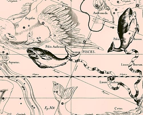 сузір’я Риб Сузір’я Риби з Атласу Uranographia Яна Гевелія (1690)